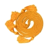 Cover Image for University of Cincinnati Stole of Gratitude, Red